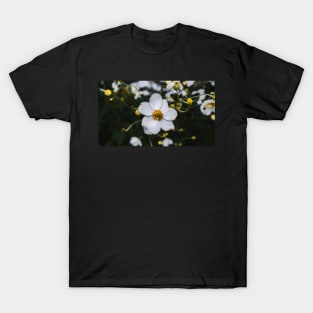 Japanese Anemone T-Shirt